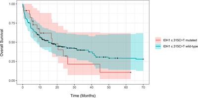 Impact of IDH1 c.315C>T SNP on Outcomes in Acute Myeloid Leukemia: A Propensity Score-Adjusted Cohort Study